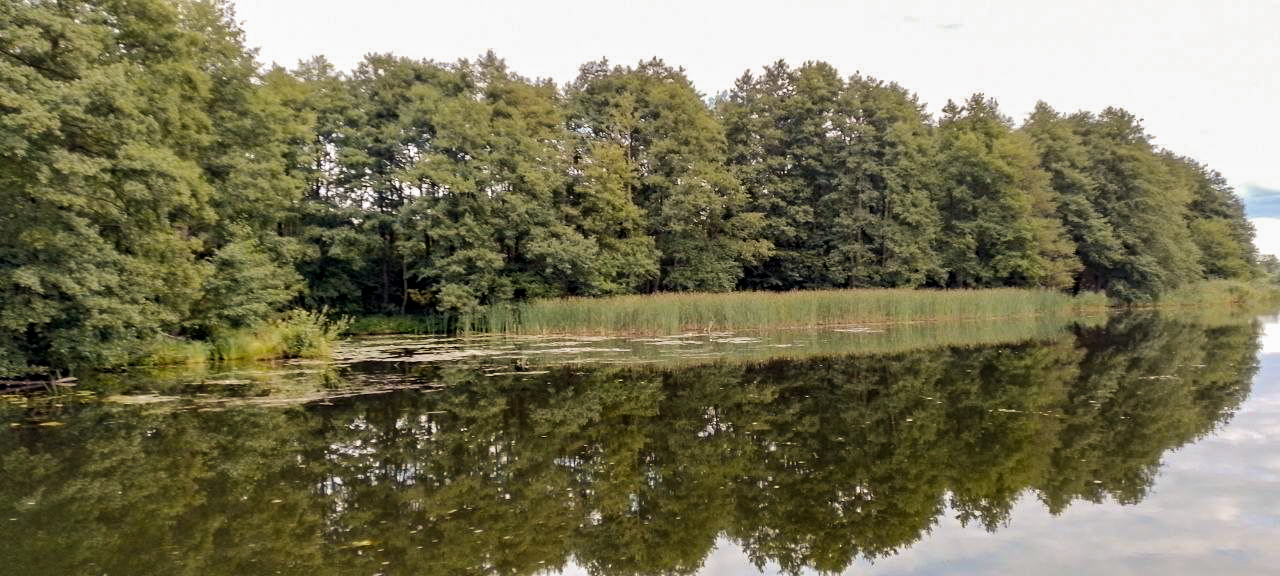 Floßfahrt auf der Havel